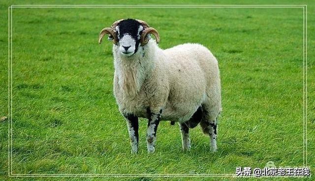 英国湖区景点排行榜,英国旅游推荐海边旅游景点