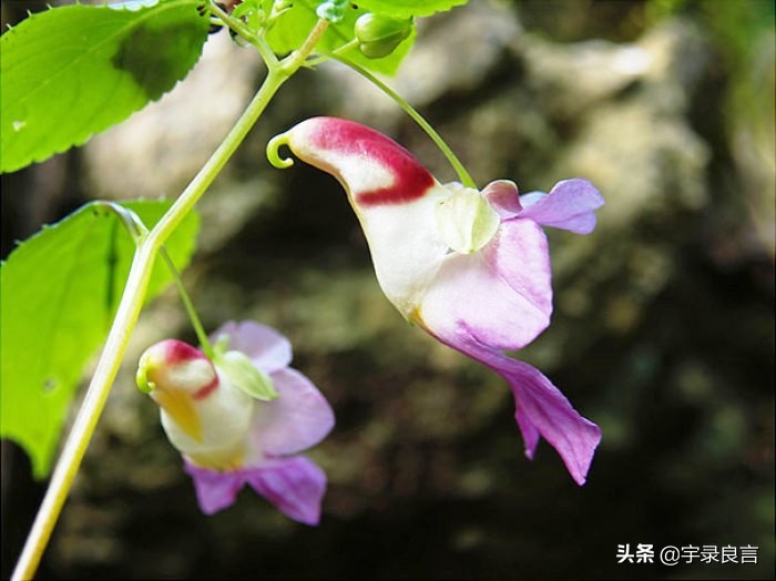 句句入骨的人生感悟个性签名,个性签名人生感悟短句