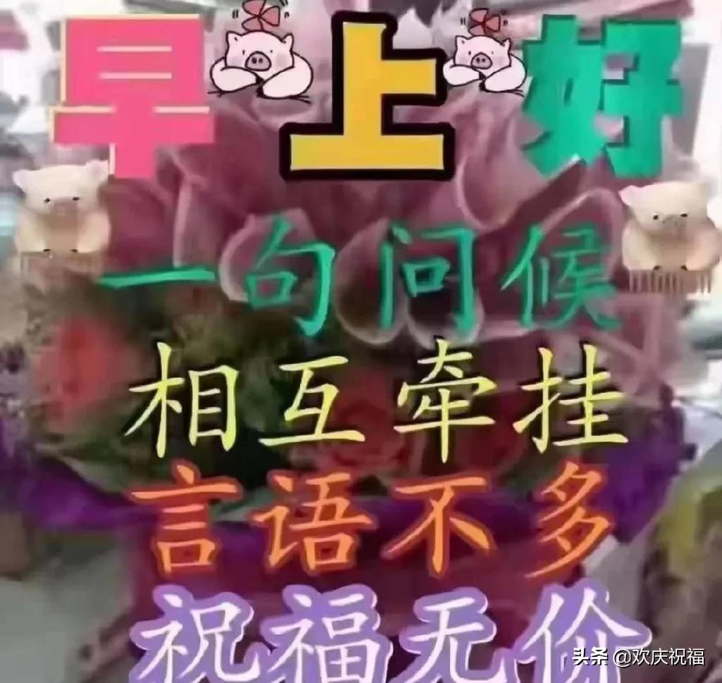 轻易原谅早安语录,早安醒来原谅一切