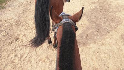 绍兴杭州湾海上花田100万郁金香等你来赏来赴一场春天的约会。