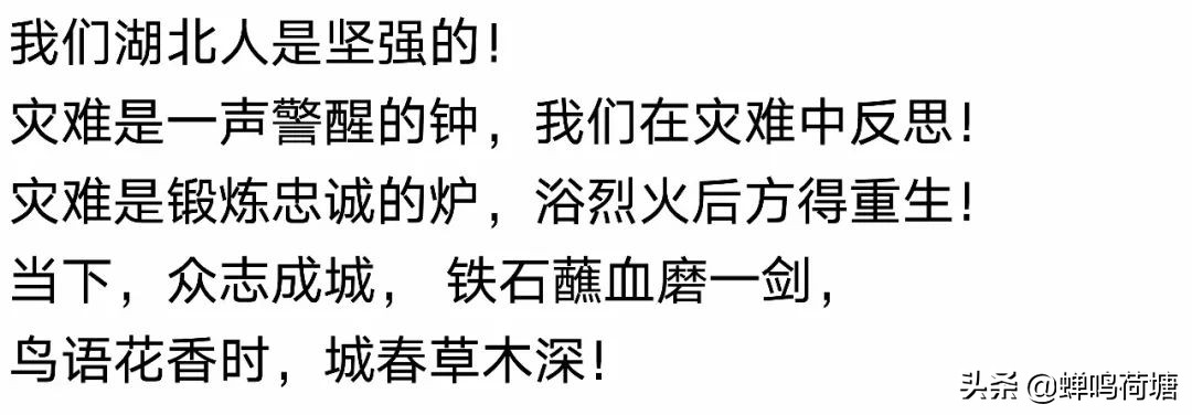 来自湖北的主播,湖北电台主持人隔空对话