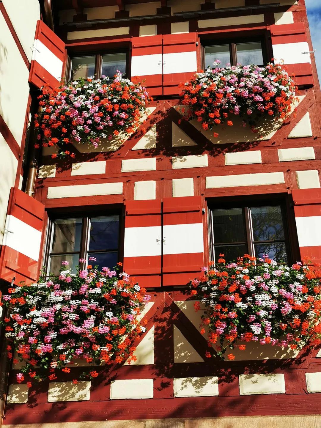 东北花园四季开花植物,北方一年四季都开花的花园