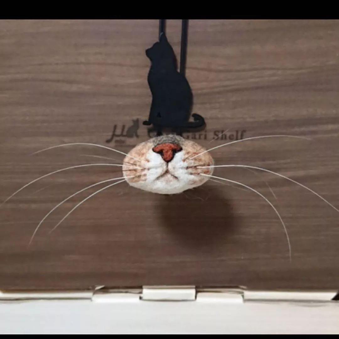 捡到猫胡子会带来好运吗,捡到猫的胡子真的会有好运吗