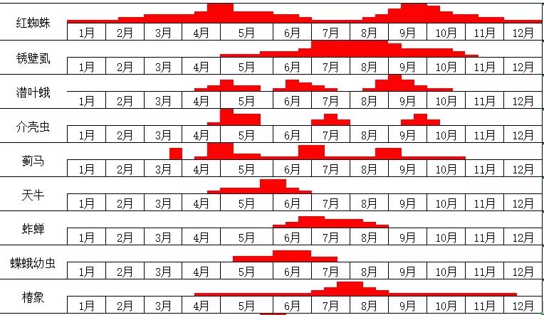 柑橘害虫及危害部位图,柑橘常见害虫高清图谱