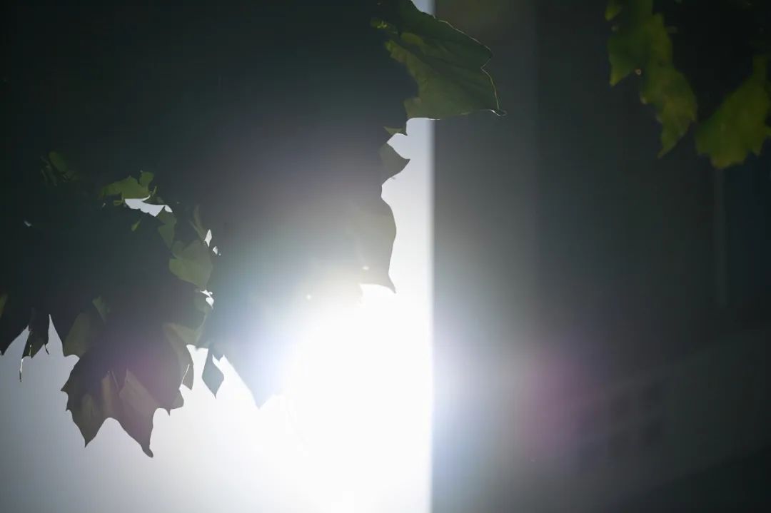 尼康z50配dx镜头,尼康zdx镜头