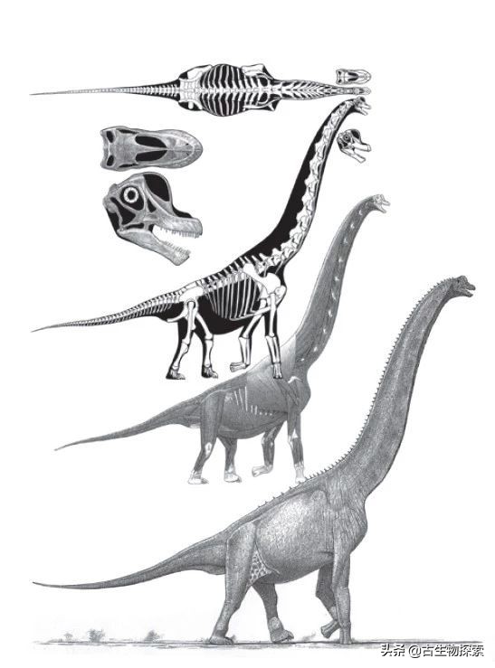 恐龙能不能复活,怎么让真的恐龙复活