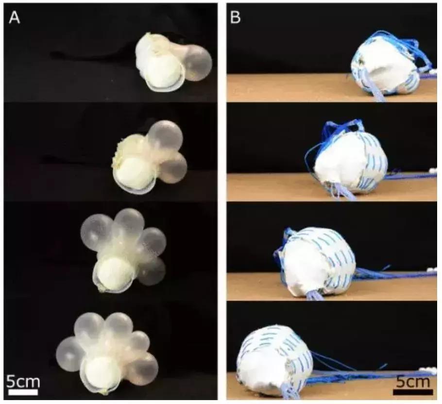 用橡皮泥做小型的机器人,怎么用橡皮泥做战斗机器人