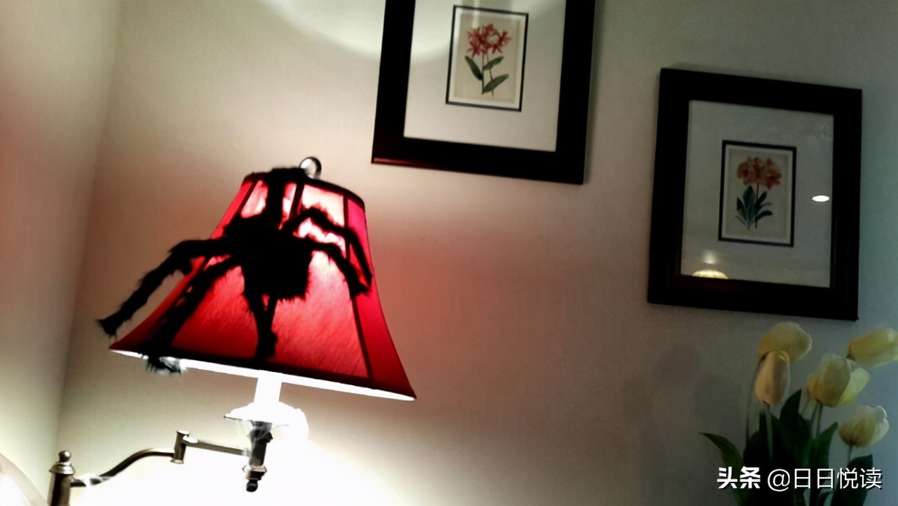 美国人的真实生活现状,美国人的生活水平