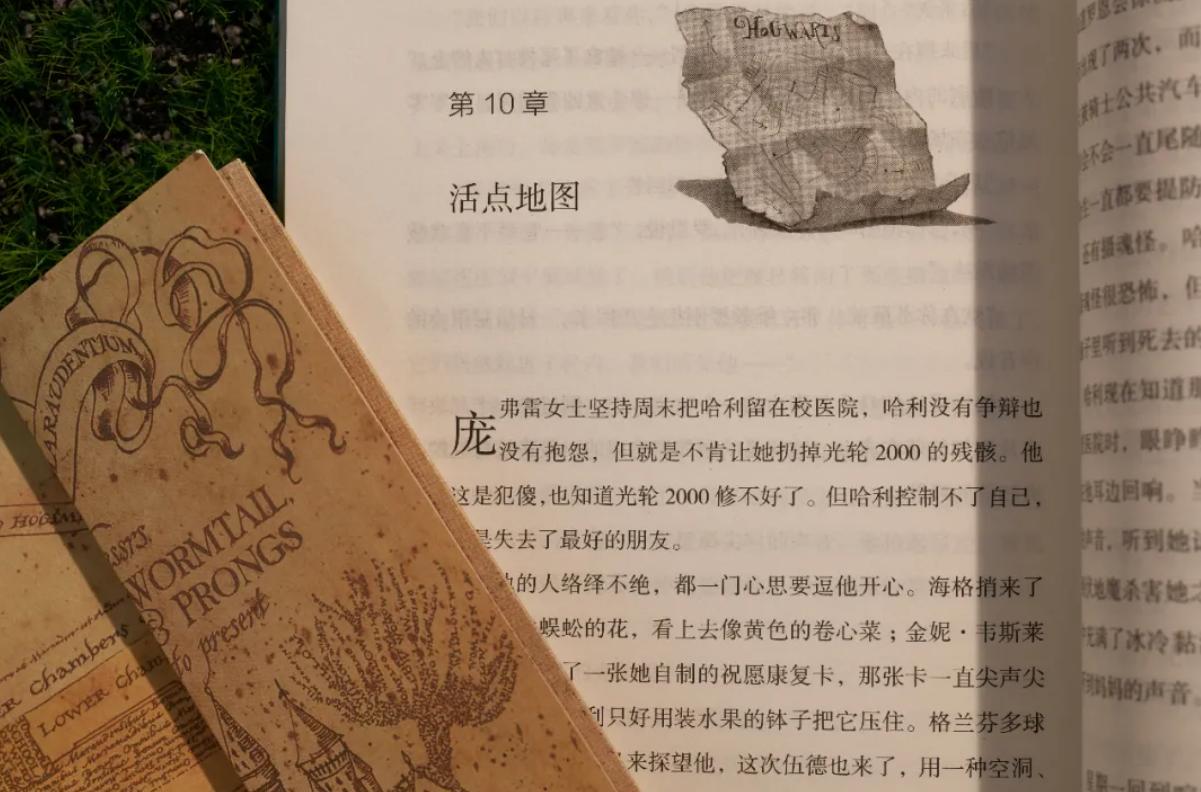 哈利波特二十周年纪念版书,哈利波特100个感悟