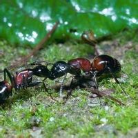 中国文化酒的别称,竟有285个,我又一次孤陋寡闻了