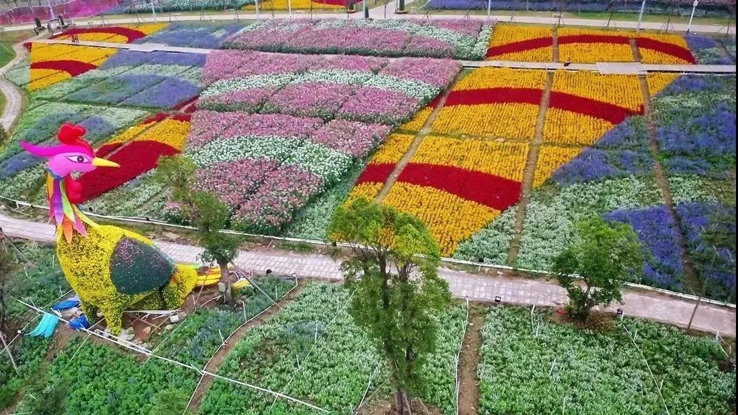 精彩继续!12月广东畅游指南,为你的2018划上圆满句点