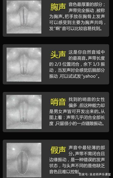 零基础学高音怎样锻炼声带闭合力,高音如何加强声带闭合