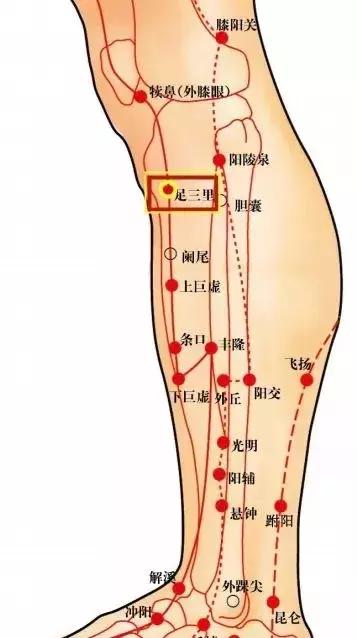 补气提升免疫力,补气提高免疫力最好的方法