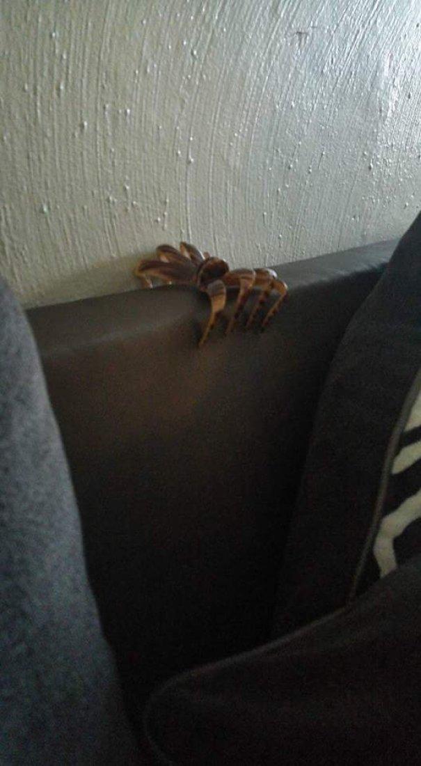 14张照片卡点劲爆15秒,14张照片的视频超燃