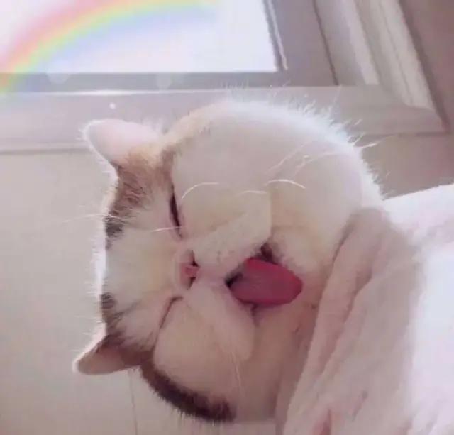 沙雕闺蜜头像四人一人一张,沙雕闺蜜头像新年款