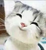 深圳社保卡网上办理可以吗,深圳市办理社保卡可以网上办理吗