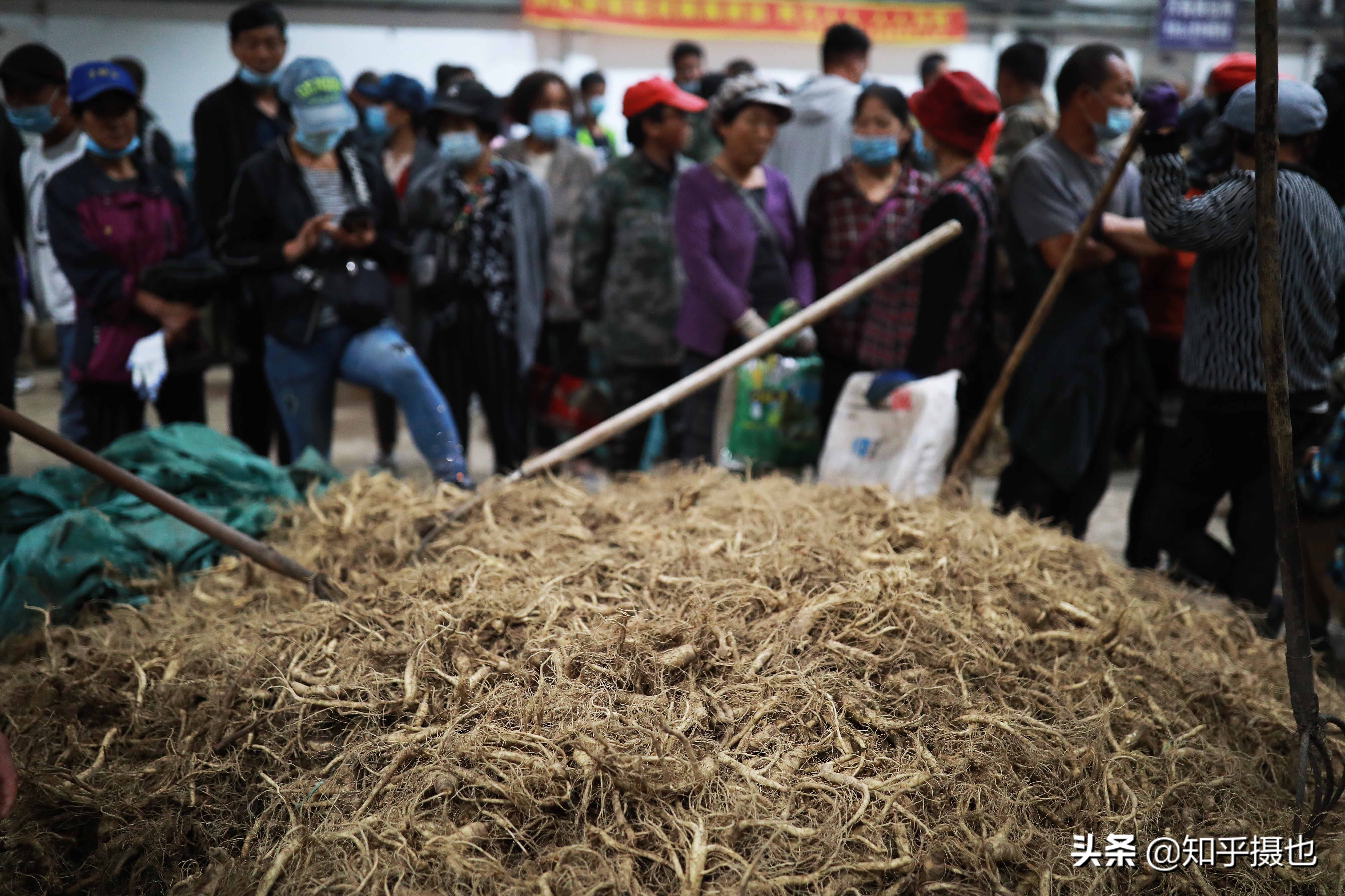 吉林有几个人参交易市场,吉林人参交易市场视频