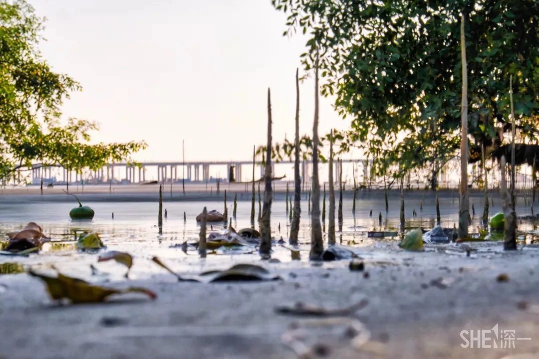 最美湖泊小众风景,最美湖泊西湖