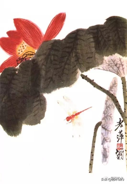 荷花的画法和步骤图解,最简单的荷花画法一学就会