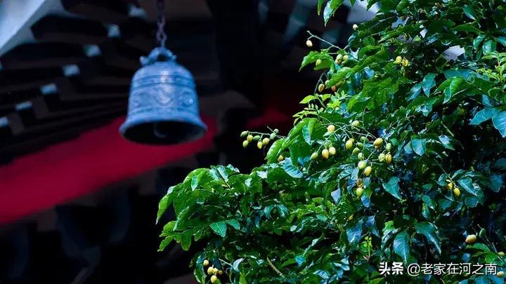 人死后去阴间的全过程,看醒了很多人!