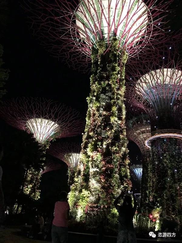 春节去新加坡亲子游记,新加坡亲子游3天2晚自由行含机票