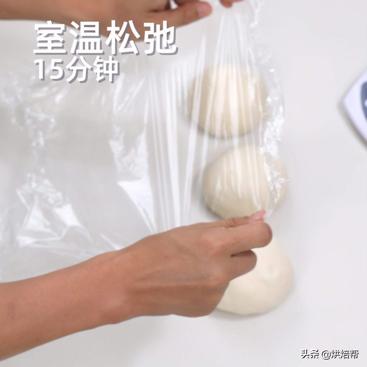 日本爆火吐司,日本生吐司中种