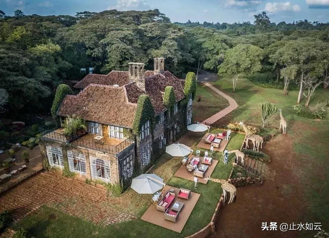 吃长颈鹿治艾滋病？为保护谣言下的生命他们建了家世界唯一的酒店