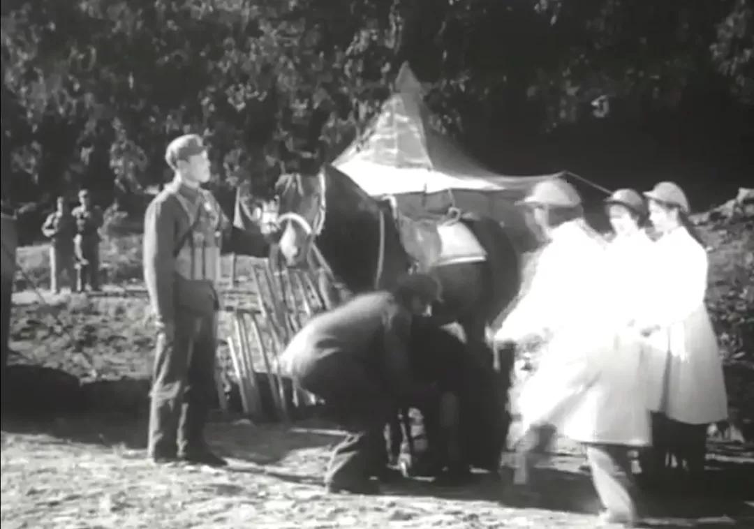 从不如牛马到翻身做主，*藏西**农奴是如何得到解放的？