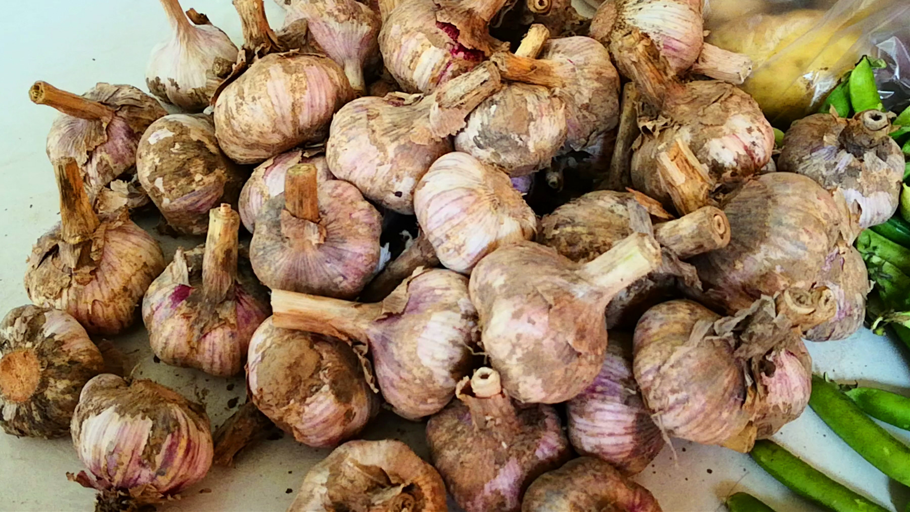 腌糖蒜需要放白醋吗,腌糖蒜直接放醋和糖可以吗