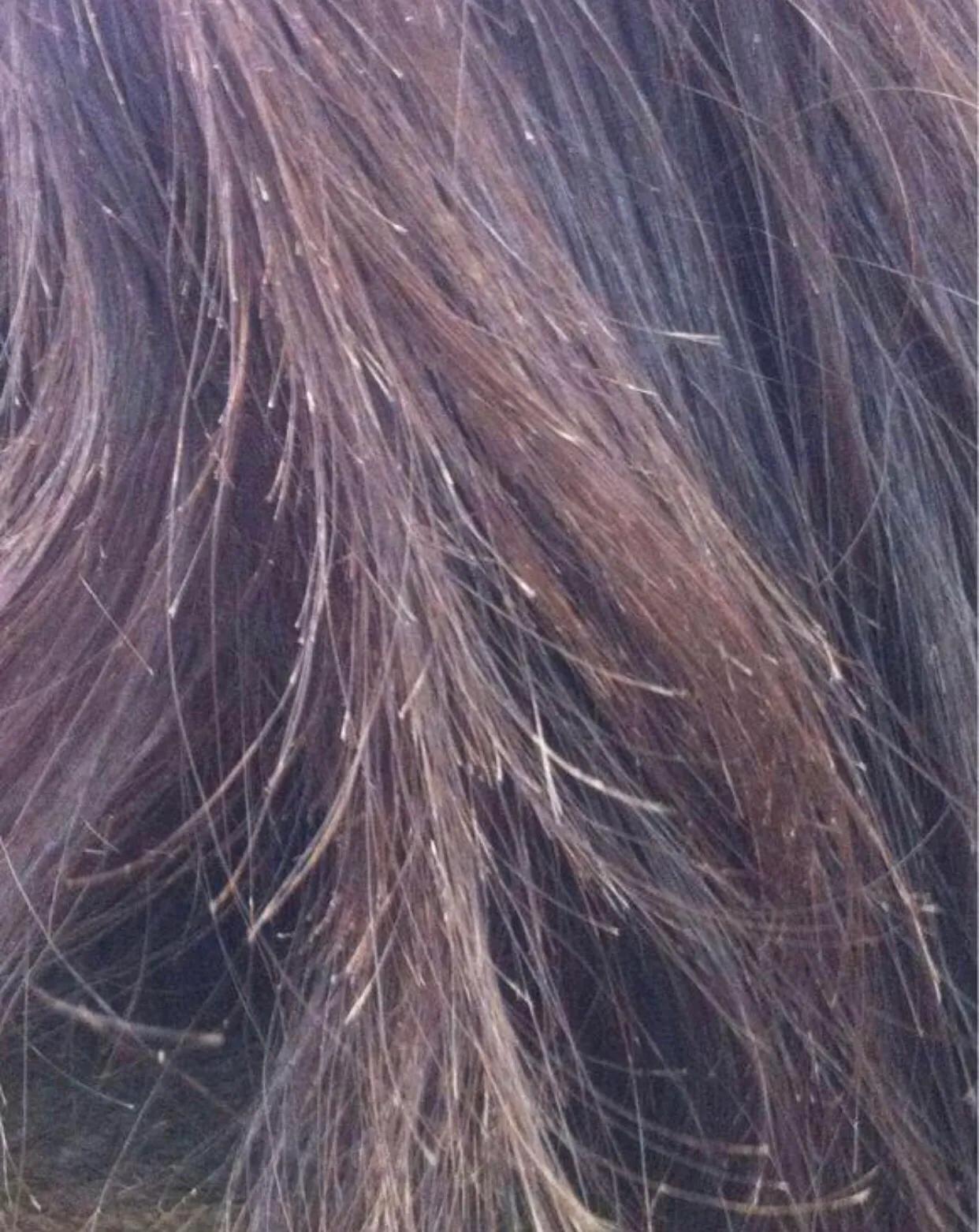 漂亮小姐姐拉头发,漂亮小姐姐甩发