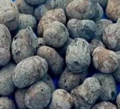 好好学习天天向上｜你知道几种水处理滤料？