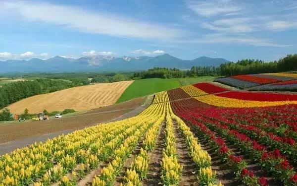 日本白川乡旅游攻略,上海去日本旅游最好的攻略