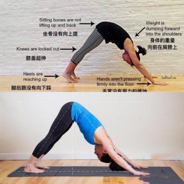 瑜伽入门动作下犬式的慢动作分解,瑜伽单腿下犬式怎么做到不翻胯
