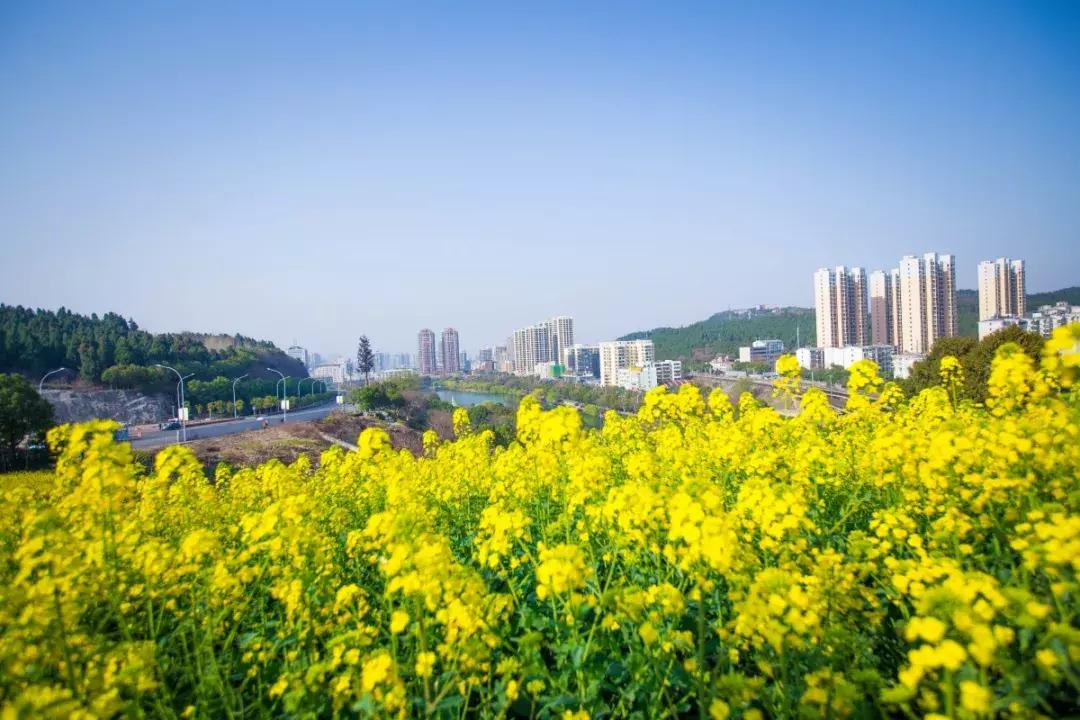 荆门市简介,荆门是什么样的地方