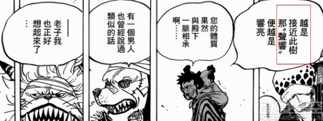 「ST」原来如此-最终岛信息藏在这里天龙人国宝不是天王