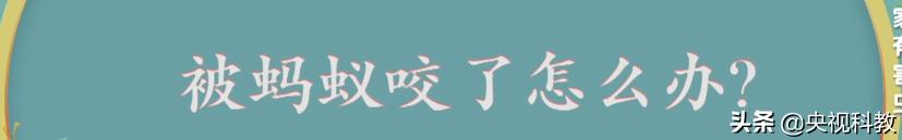 科学除四害视频,科学除掉蚂蚁