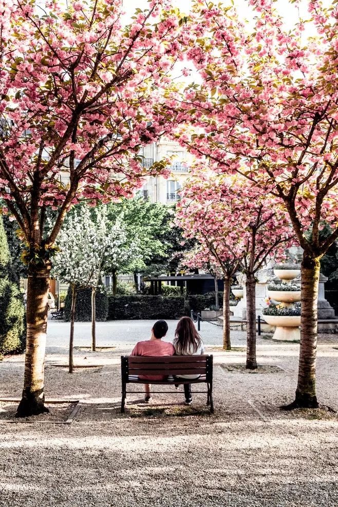 两性择偶方面男人比女人更现实,两性相处中女人的心理