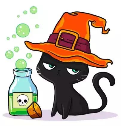 老薛家的猫咪叫什么名字,薛定谔的猫是否证明了多元宇宙