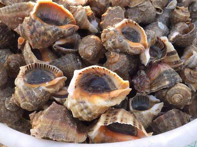 大连长海县海鲜自助,长海县海鲜预订