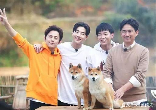 向往的生活彭昱畅长胖,向往的生活彭昱畅胖的照片