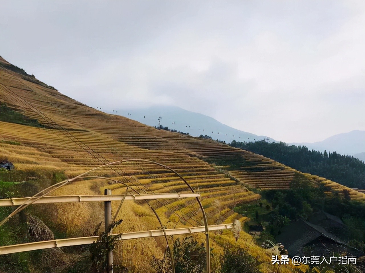 外地人可以继承东莞宅基地吗,为了小孩上学迁户口东莞