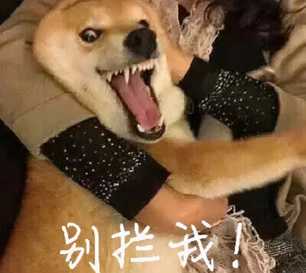 吃在“远航大酒楼”,绵阳学生的最高伙食标准