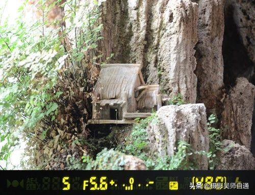 相机有哪些实用功能,相机的三大基本功能