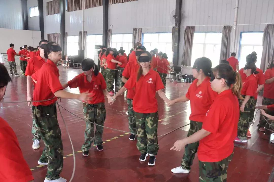 同心同行共创未来总结,同心同行携手未来活动内容