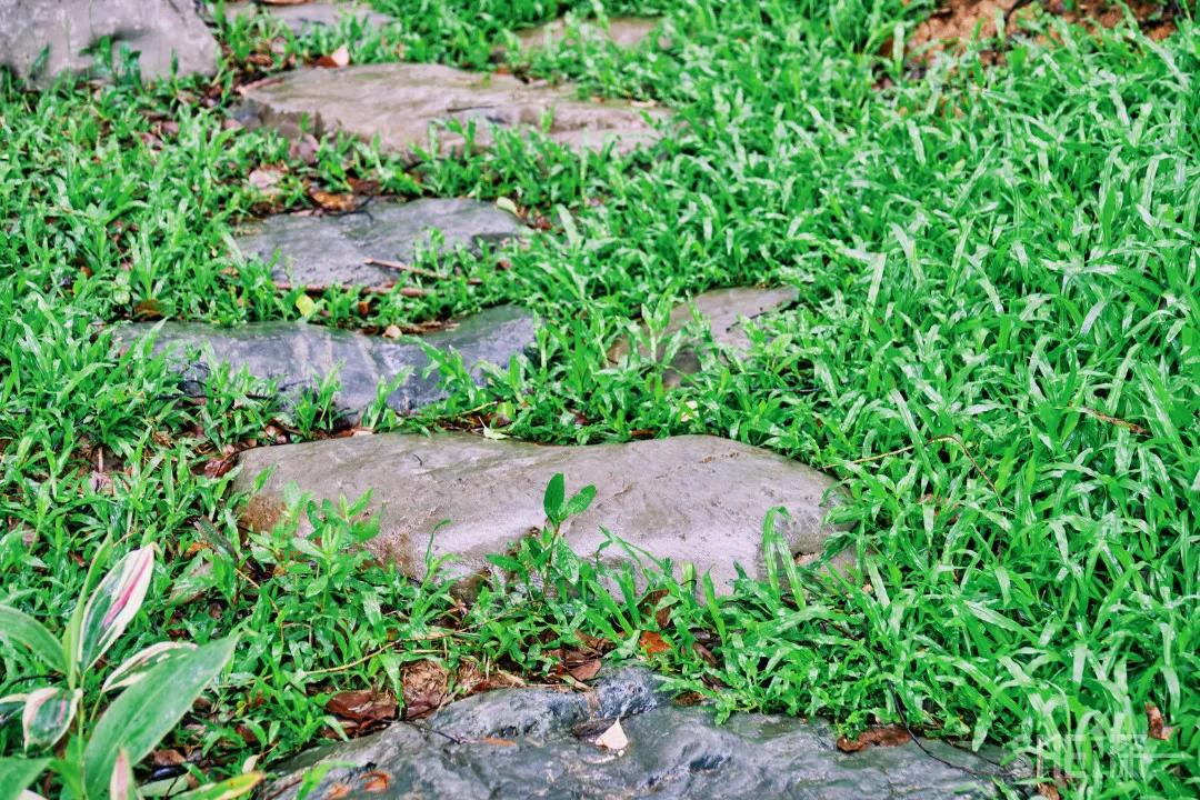 深圳八大绝美公园,山水公园深圳