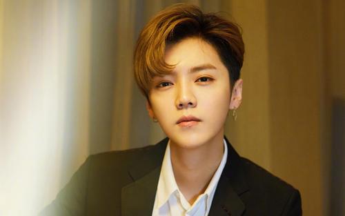 鹿晗粉丝怎么看待鹿哈,众明星对鹿晗粉丝的评价