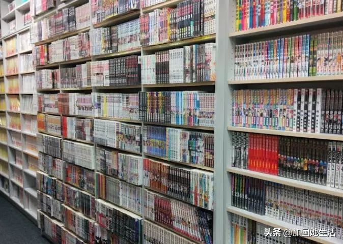 多伦多图书馆清仓特卖啦！1万册图书每本$0.5起（华人淘书指南）