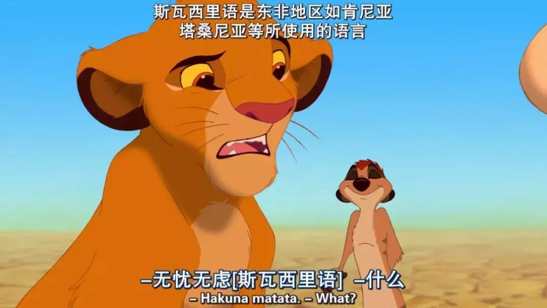 真实版的狮子王,现实版狮子王比想象的更残酷