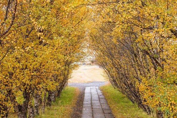 比孤独更孤独的地方冰岛,有一种美好叫做冰岛