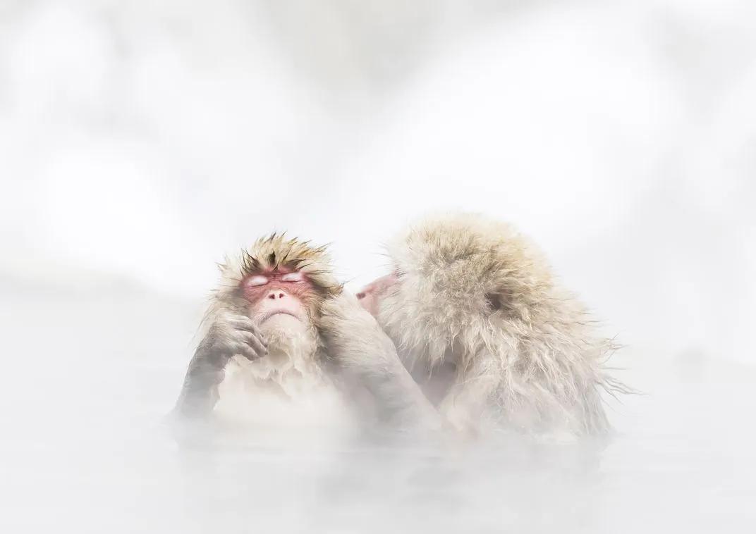 想成为摄影大神你得先过这一关,想要成为一名优秀的风光摄影师